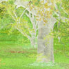 art 10 thumb