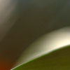 art 16 thumb