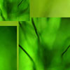 art 22 thumb