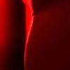 art 23 thumb