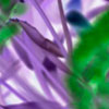 art 4 thumb